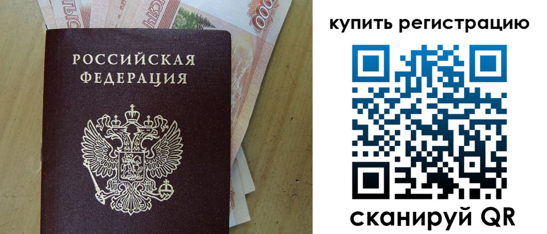 временная регистрация поиск в Светлогорске