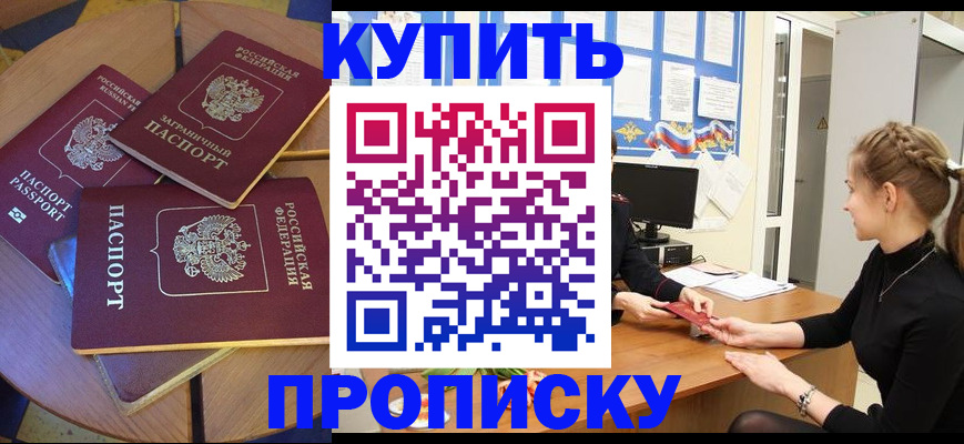 прописка гарантия в Светлогорске